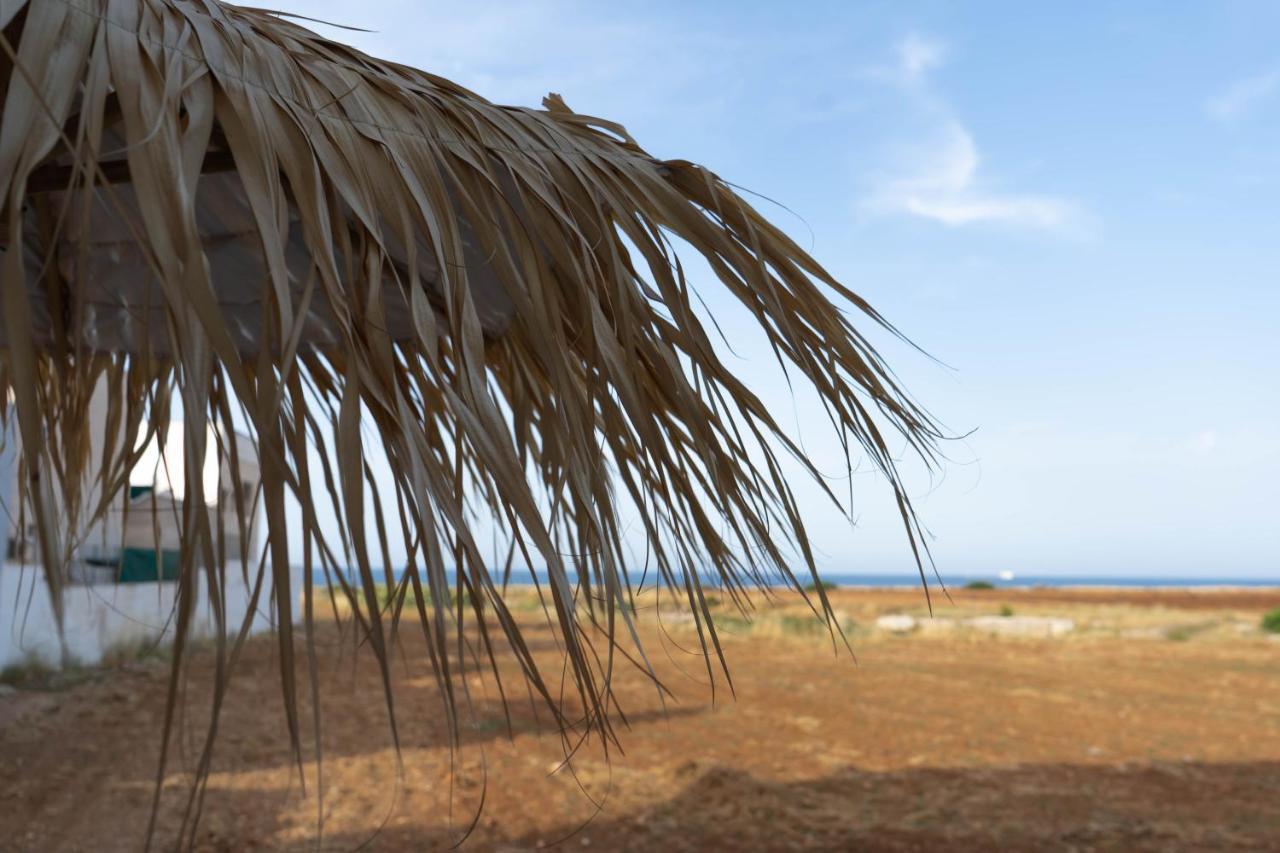 Cala Paradiso 모노폴리 외부 사진