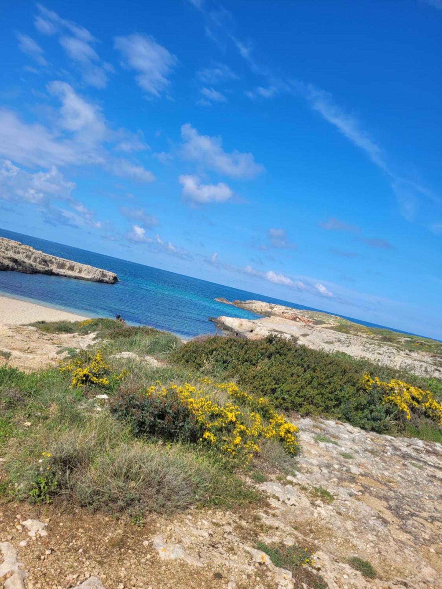 Cala Paradiso 모노폴리 외부 사진