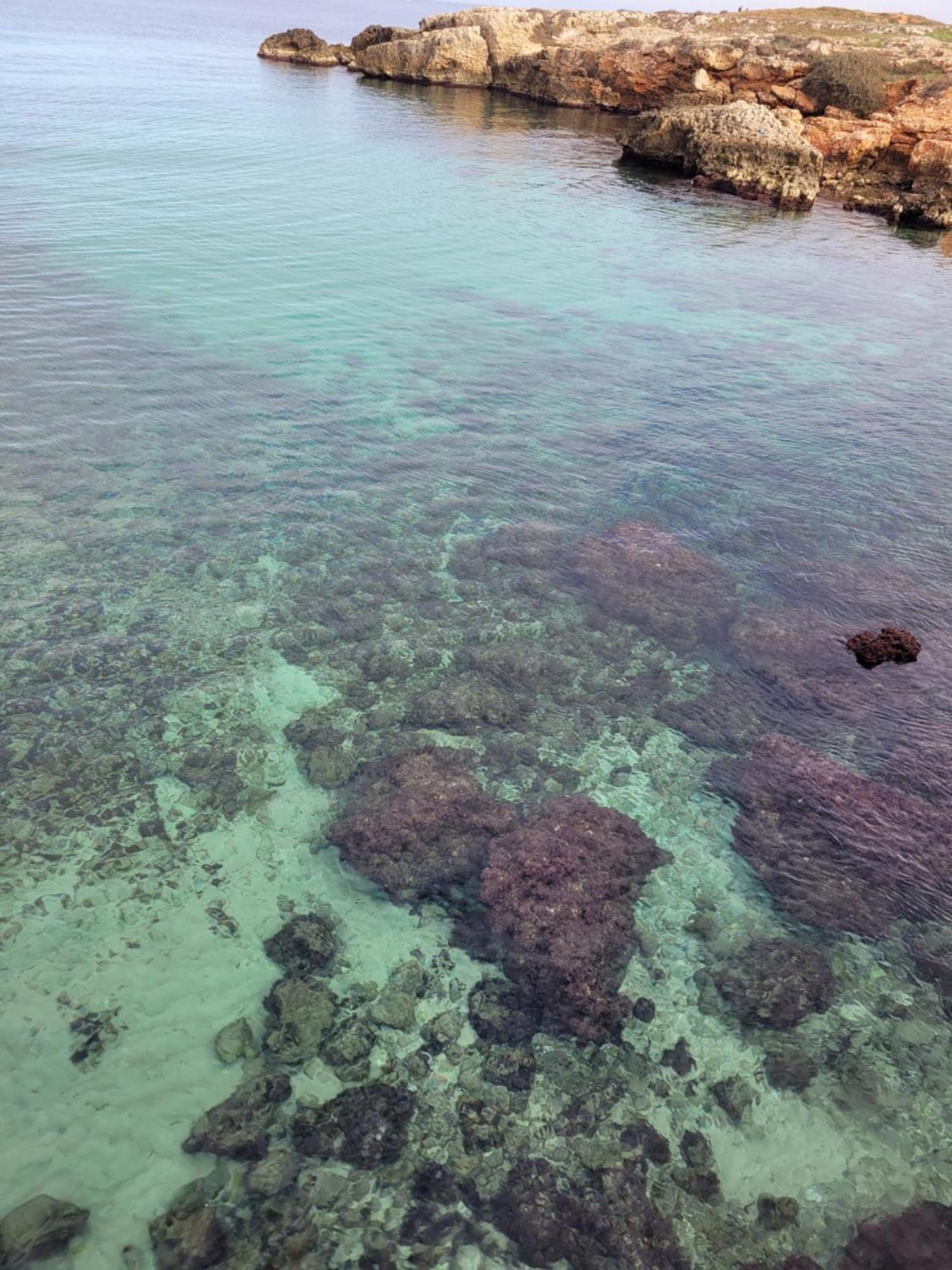Cala Paradiso 모노폴리 외부 사진