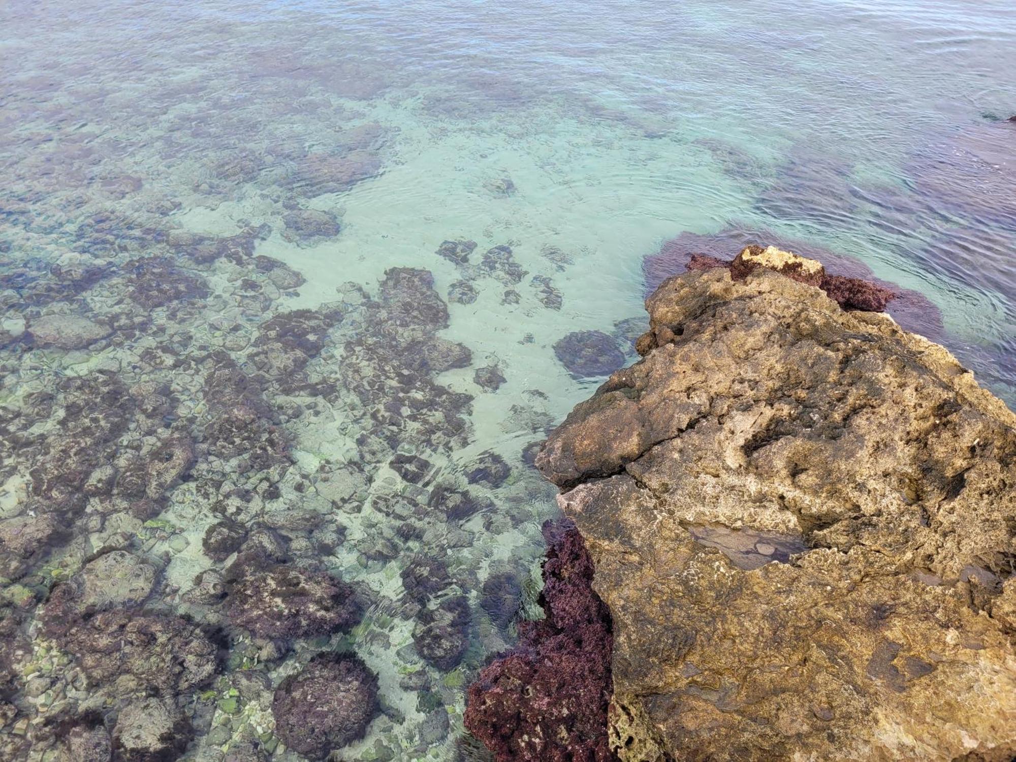 Cala Paradiso 모노폴리 외부 사진