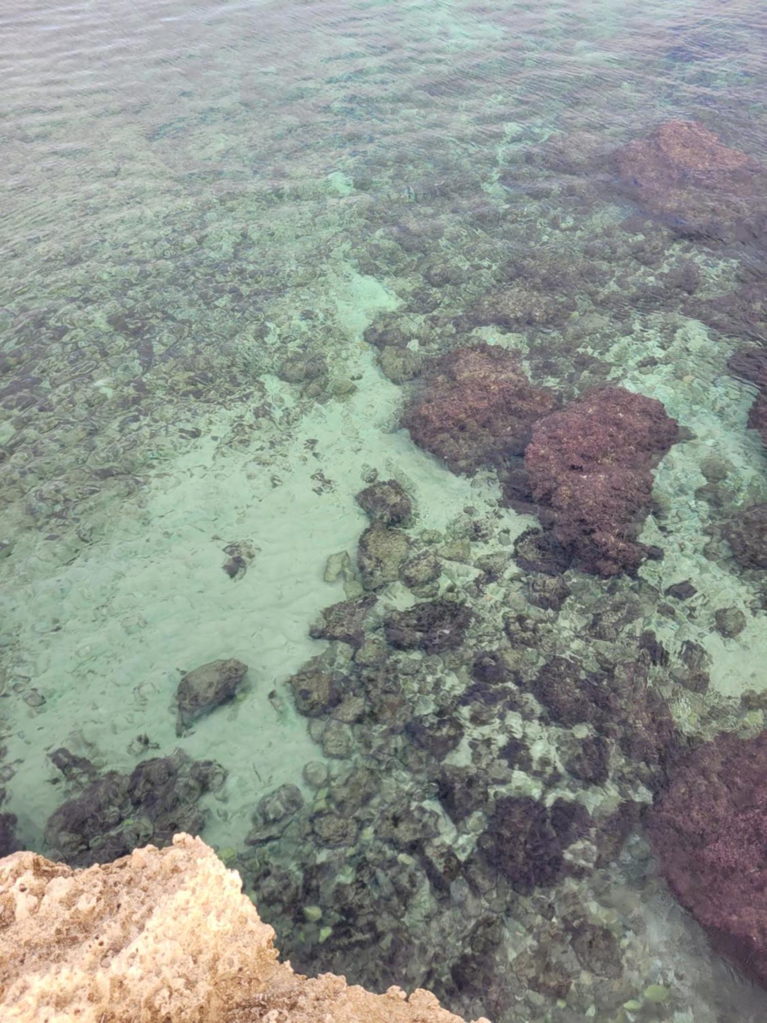 Cala Paradiso 모노폴리 외부 사진